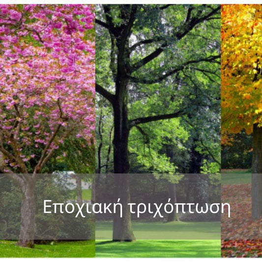 εποχιακή τριχόπτωση